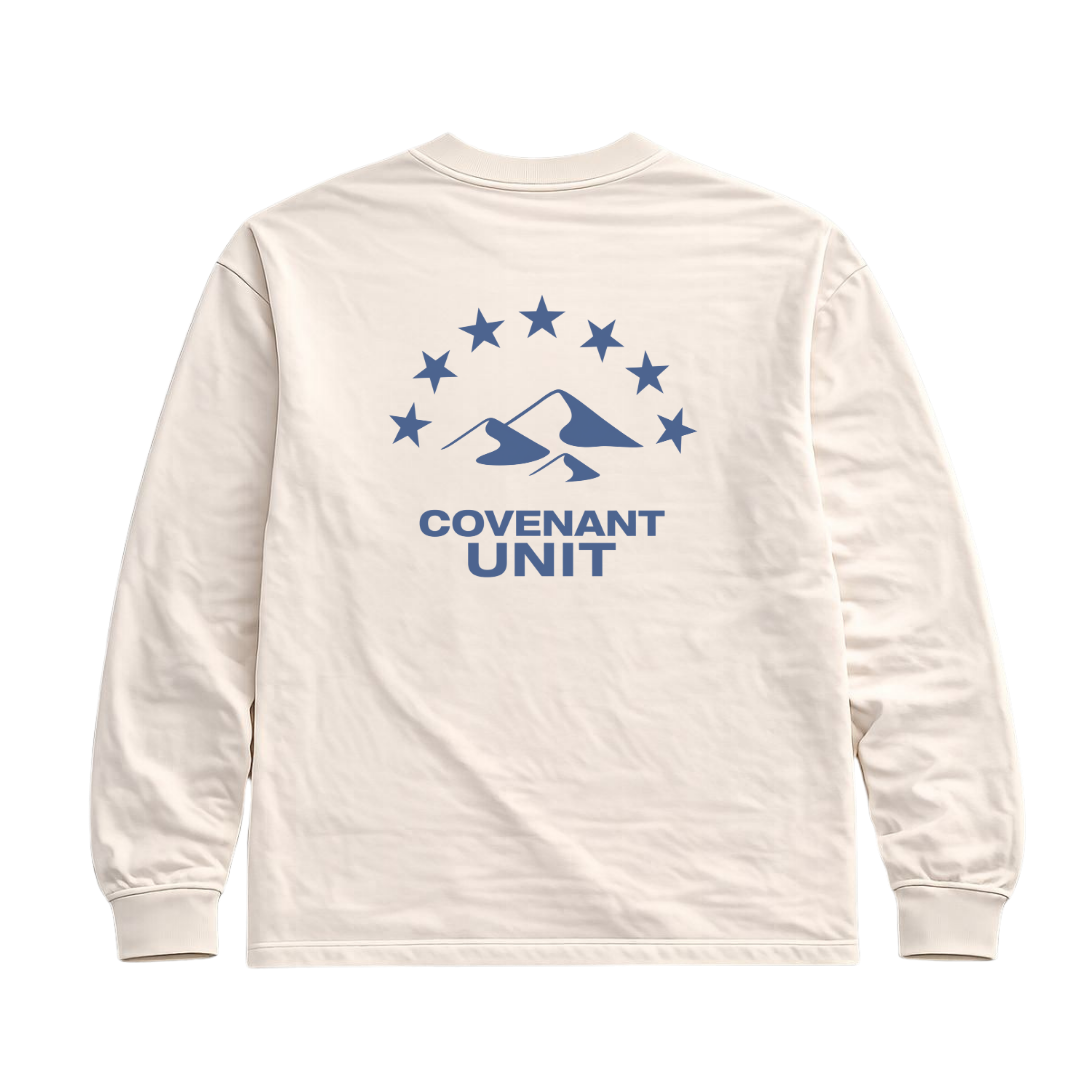 CAMISETA MANGA LONGA OVERSIZED