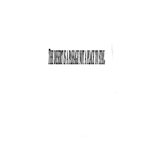 CAMISETA DESERT
