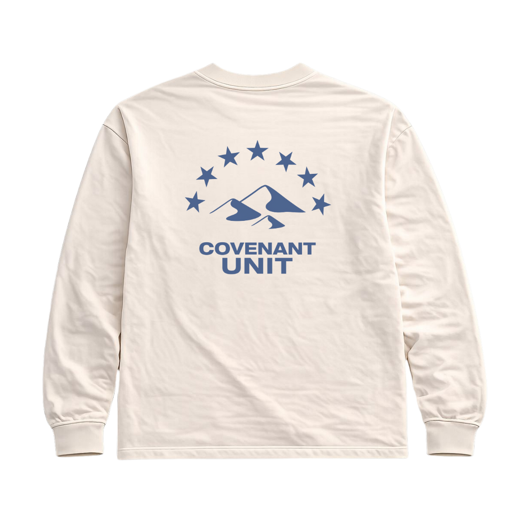 CAMISETA MANGA LONGA OVERSIZED