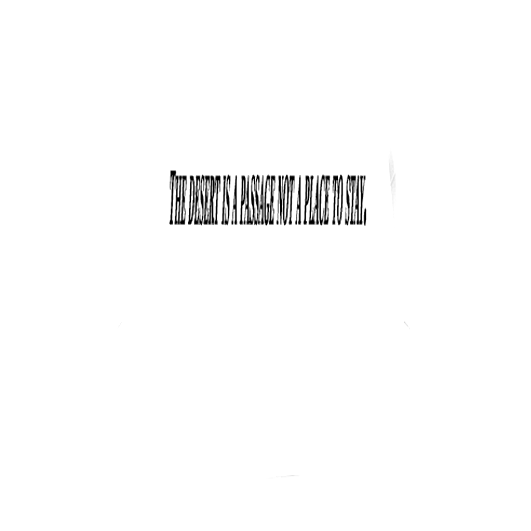 CAMISETA DESERT