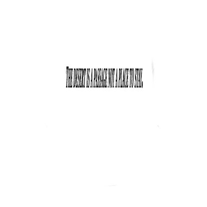 CAMISETA DESERT